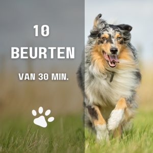 10 beurten van een half uur