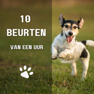 10 beurten van een uur