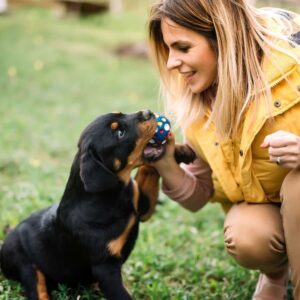 Je hond ondersteunen door games