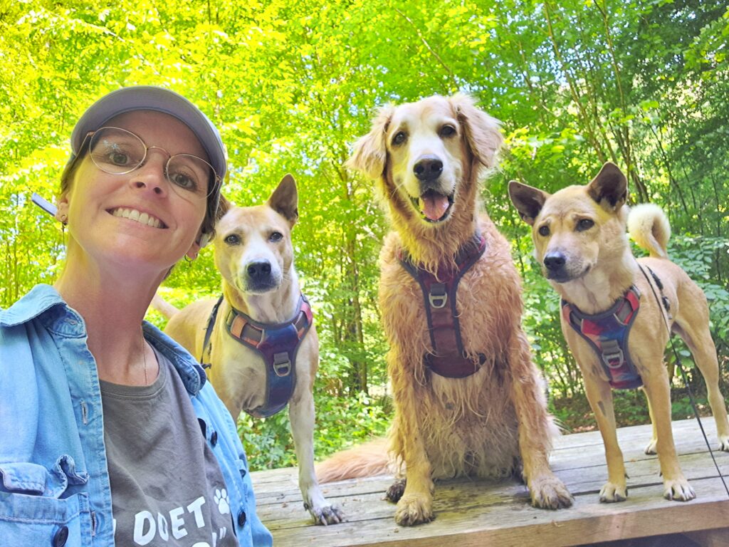 aanbevelingen voor hondenspullen