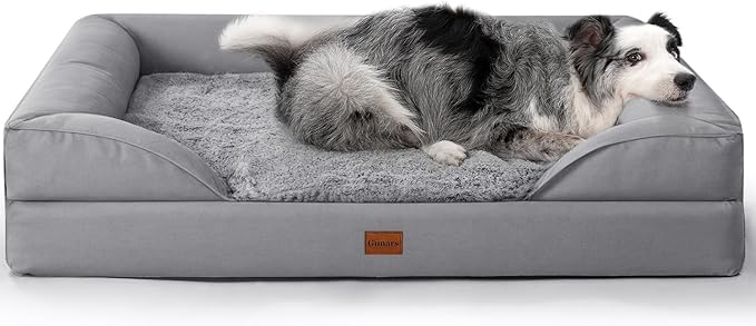 aanbevelingen voor hondenspullen