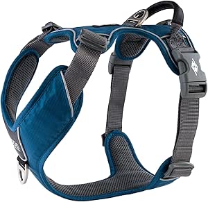 aanbevelingen voor hondenspullen