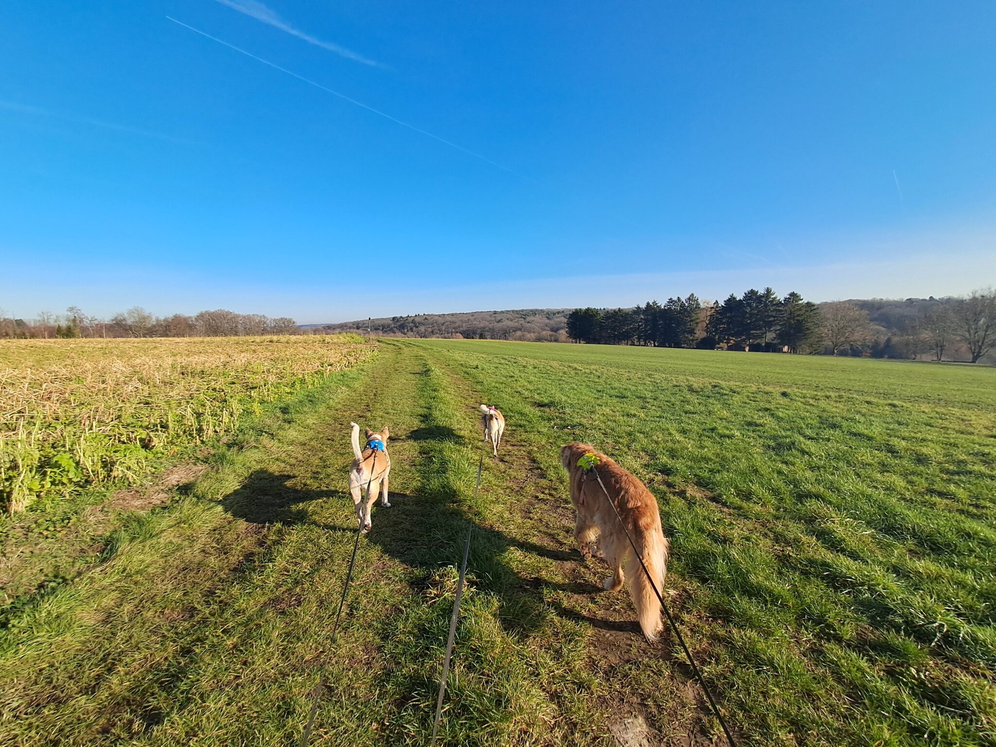 Natuurwandeling in Huldenberg van 4,8 km
