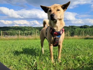 De grootste fout die we maken bij mooi weer.