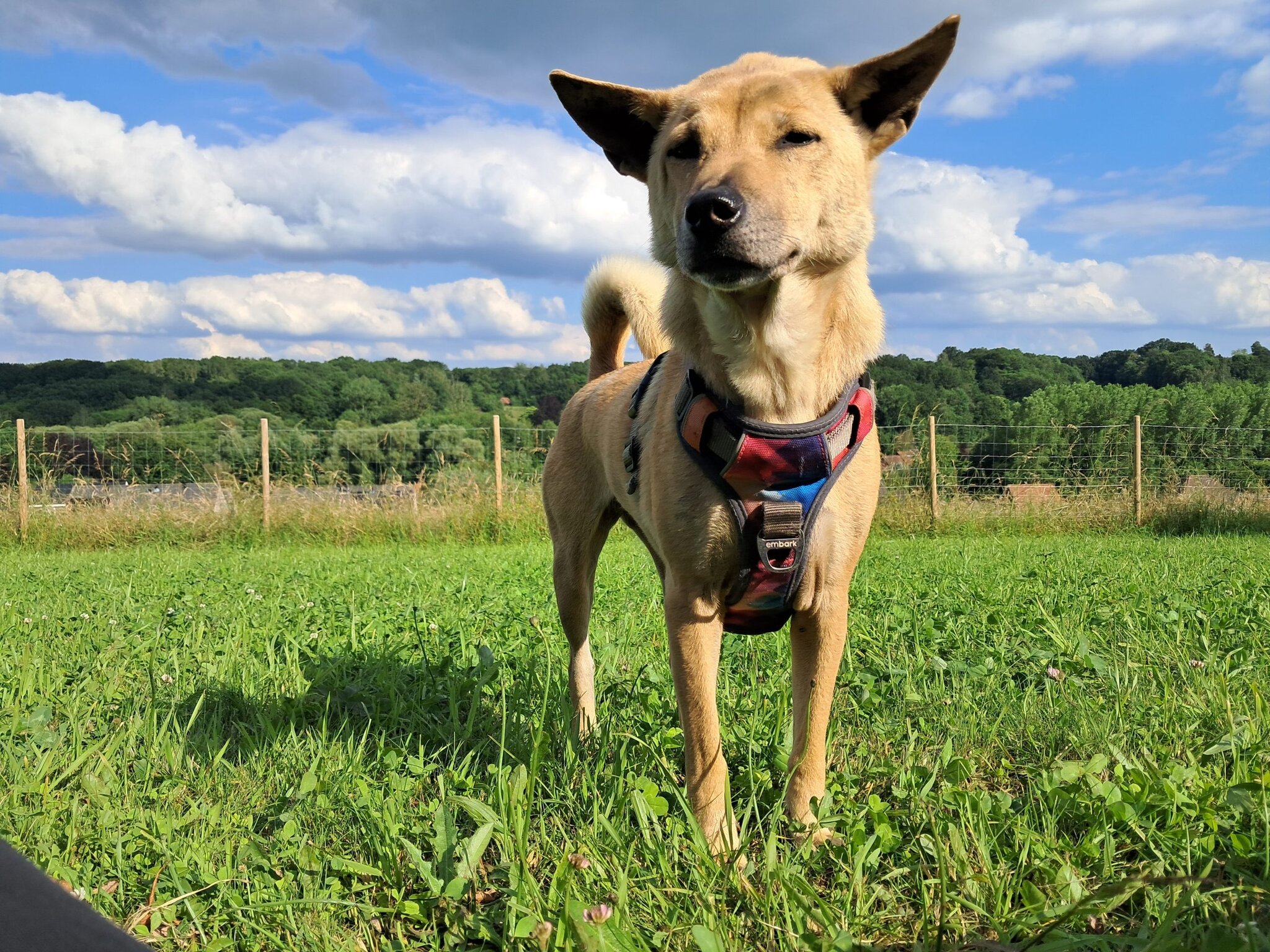 De grootste fout die we maken bij mooi weer.