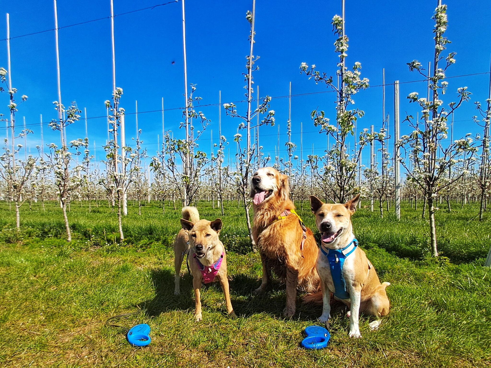 Dat dacht ik vroeger ook...