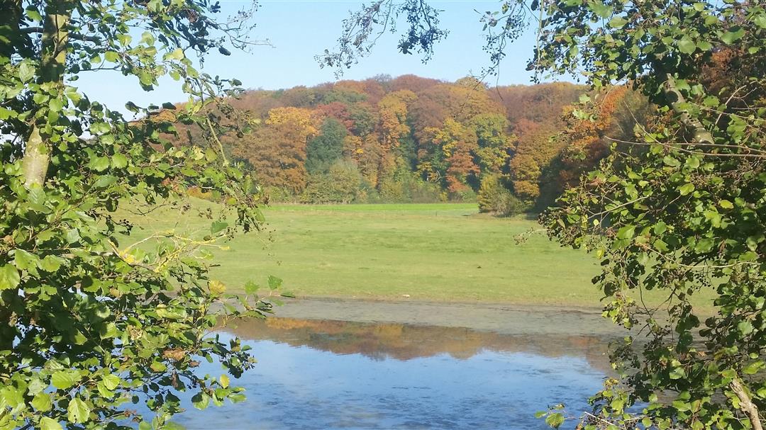 10 km prachtig wandelen in Huldenberg