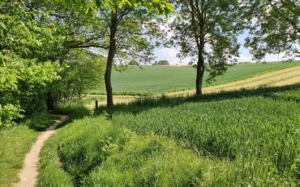 Prachtige wandeling van 7 km in Huldenberg