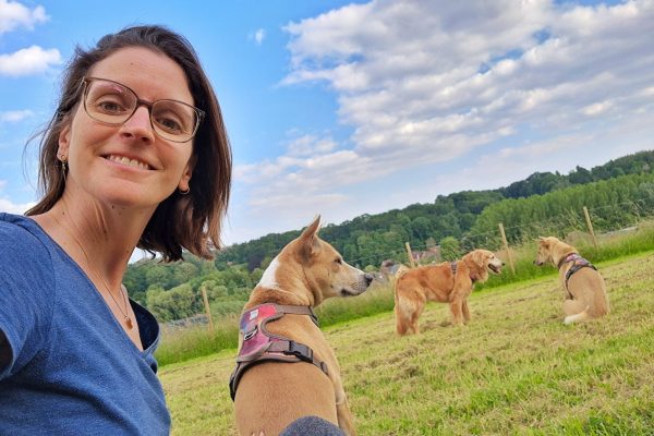 Gratis langskomen in de privé hondenweide