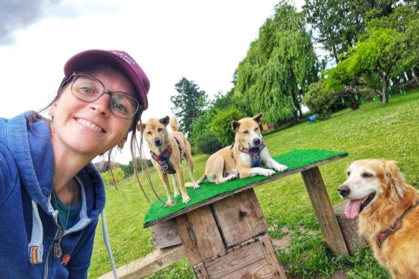 Prive hondenweide in Huldenberg